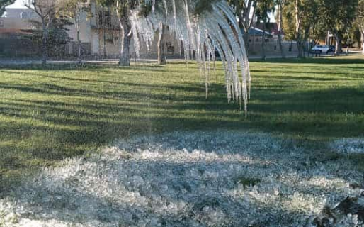 ¿Cómo y por qué se producen las heladas?