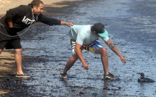 “Ecocidio”, una definición que podría cambiar la historia del cuidado del medio ambiente
