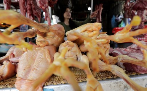 China: Detectaron el primer caso mundial de gripe aviar H10N3 en humanos