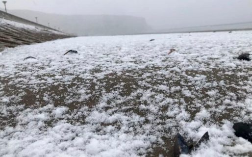 Con 3 grados bajo cero, llega el día más frío del año hasta ahora