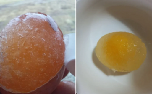 Por el frío, se congelaron hasta los huevos