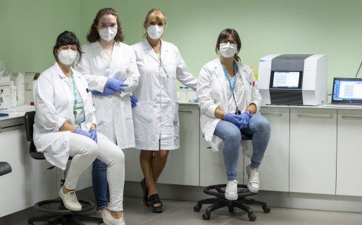 Investigadores de la UNPSJB obtienen financiamiento para elaborar fideos con algas patagónicas