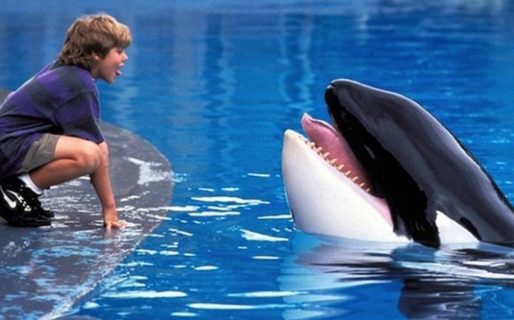 El triste final de Keiko, la protagonista de “Liberen a Willy”