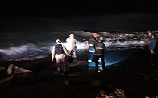 Una joven de 17 años falleció mar adentro en Restinga Alí