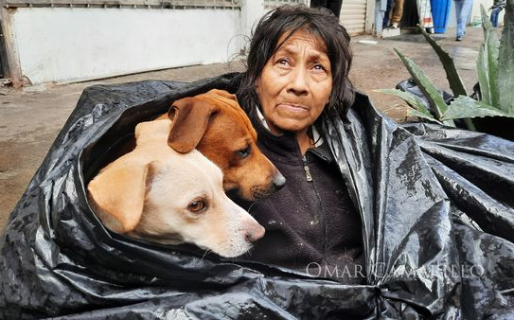 Vive en la calle para no tener que abandonar a sus 6 perros