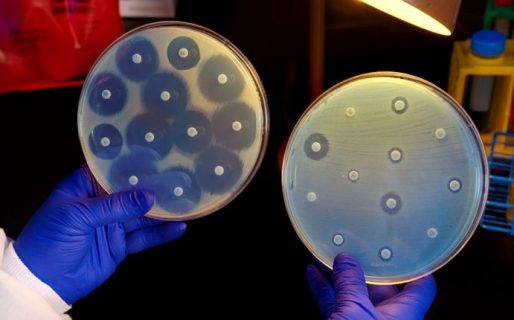 Detectaron en Argentina nuevas superbacterias por el mal uso de los antibióticos