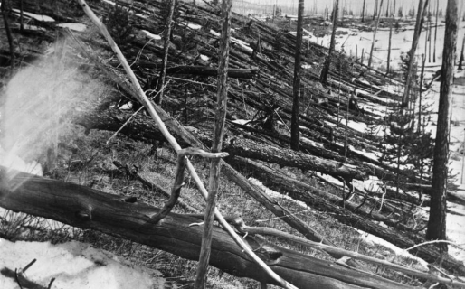 El meteorito que provocó que se cayeran 80 millones de árboles, pero que casi no dejó rastro