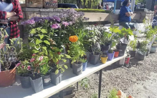 Nueva feria de Productores y Artesanos de la Agricultura Familiar