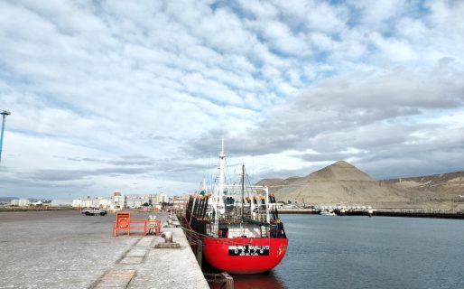 «Los barcos prefieren descargar en otros puertos y eso afecta a Comodoro»
