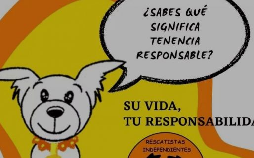 Rescatistas Independientes lanza la campaña «Su vida, tu responsabilidad»