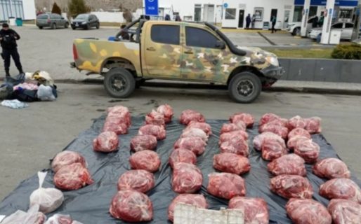 Circulaban con más de mil kilos de carne de guanaco y avestruz en una camioneta