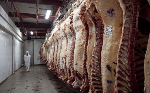 Trabas a la exportación de carne: Gremios confirman recorte del 40% en los ingresos de trabajadores de frigoríficos