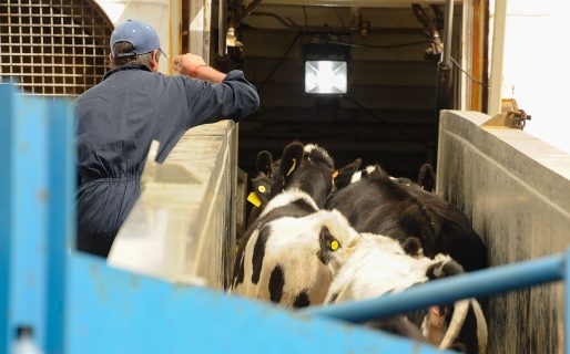 En cinco meses de 2021 la carne tuvo los peores consumos de la historia