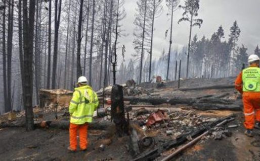 Denuncian que más de mil personas tomaron terrenos tras una serie de incendios