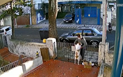 VIDEO: Acarició a un perro para ganarse su confianza y le robó el abrigo