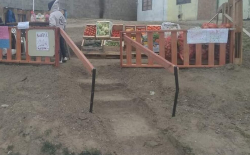 Con la ayuda que recibió puso una verdulería en su casa