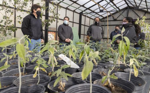 Visita al vivero Municipal