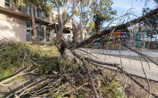 Casi 200 intervenciones durante el temporal de viento en la ciudad