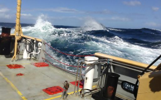 Se presentaron 4 proyectos locales para el desarrollo científico del mar