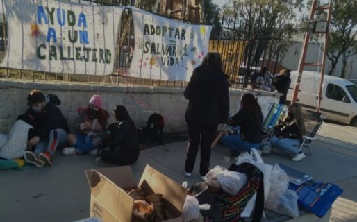 «Ayudá a un callejero» : Este sábado nueva jornada de adopción de animales