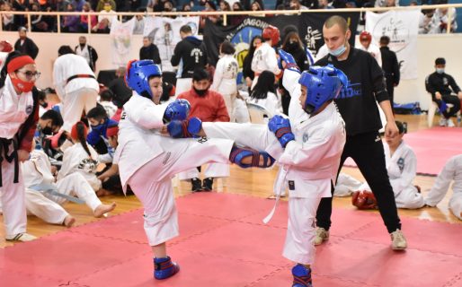 Las artes marciales tuvieron un exitoso Interprovincial