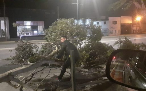 El viento derribó un árbol en la ruta y no cesaría en toda la madrugada