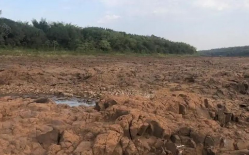 Por la bajante del Paraná, se puede cruzar caminando de Argentina a Paraguay