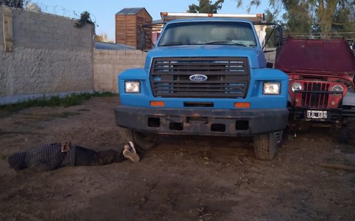 Fue detenido mientras intentaba robar un camión de un predio