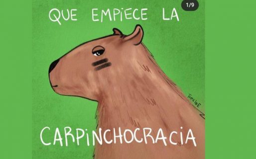 Inédito: los carpinchos tienen un partido político que los apoya