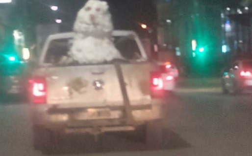 ¿Un Olaf en el Comodoro? Un vecino se paseó por todo el centro con un muñeco de nieve en el baúl