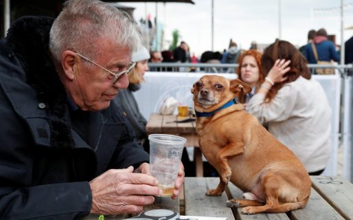 Londres inauguró el primer bar de cócteles para perros