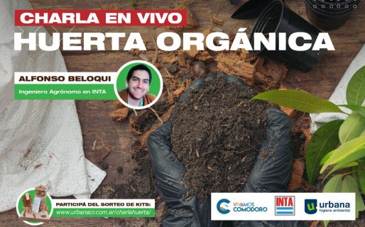 Charla online: Qué residuos podés utilizar para armar una huerta en casa