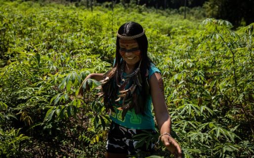 Subió un video comiendo una larva y ganó seis millones de seguidores en Tik Tok