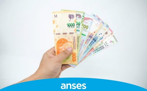 Anses activó un plus de $35.312: a qué plan pertenece y cómo pedirlo