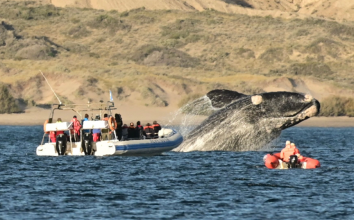 Mariano Arcioni promulgó la Ley de Turismo de Chubut