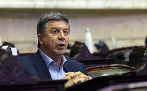 Menna:»La ley de inversiones hidrocarburíferas es inconstitucional»