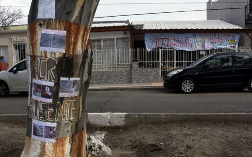 El domingo se trabajará para solucionar  el problema de histórico árbol que está dañando una casa en Km. 3