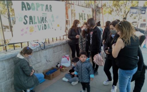 Nueva jornada de adopción frente al Liceo