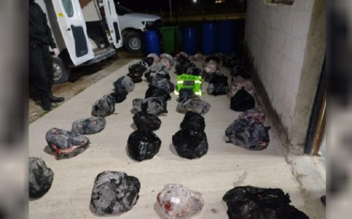 Chubut: Circulaba con 600 kilos de carne de guanaco para la venta ilegal