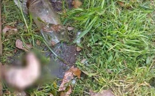 Un jardinero encontró un pene adentro de un frasco cuando cortaba el pasto en una casa