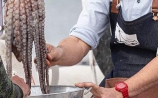 Denuncian que “Cocineros Argentinos” sustrajo pulpos de una zona vedada