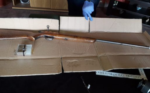 Le disparó cinco veces al perro de su vecino porque le habría matado 18 conejos