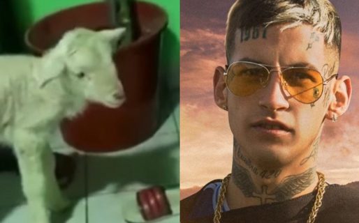 Una cabra acompañó el popular abecedario de L-Gante