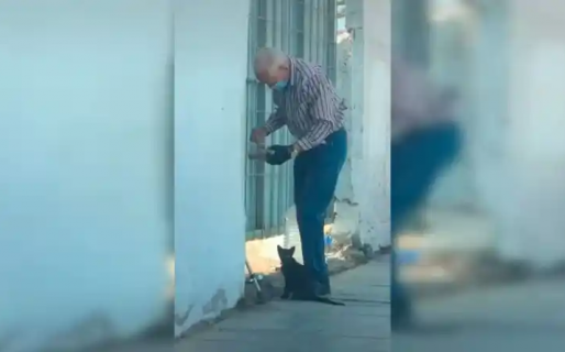 VIDEO: Un abuelo va todos los días a una casa sin habitantes para alimentar a un gatito abandonado