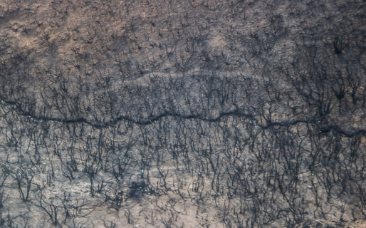 Emergencia agropecuaria para Chubut ¿y gesto para el 14/11?