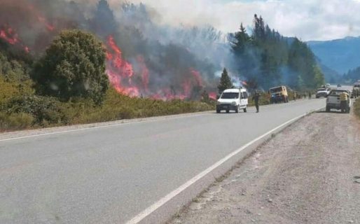 Incendios en la Cordillera: “Es tierra arrasada, es Kosovo”