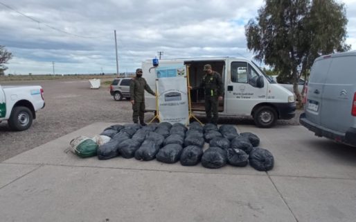 Secuestran más de una tonelada de carne de guanaco en Ruta 3