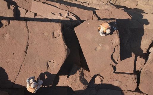 Increíble hallazgo: Prefectura encontró huellas de dinosaurio en la Patagonia