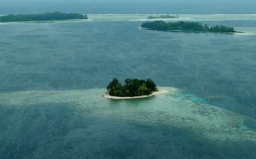 Dos hombres sobrevivieron casi un mes en un barco tomando agua de lluvia y comiendo cocos
