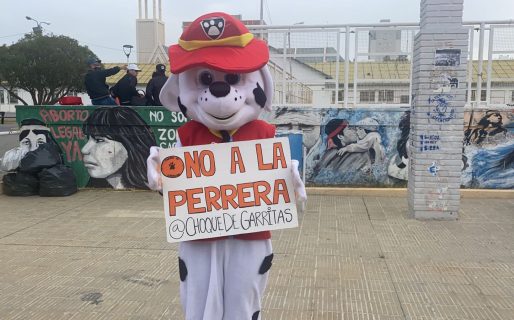 Proteccionistas de animales se convocaron en la Escuela 83 para juntar firmas en contra de la perrera
